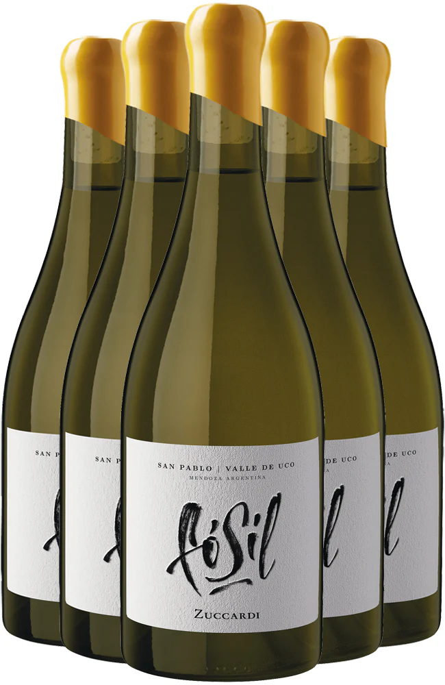 Zuccardi Fósil San Pablo Chardonnay 2021/22 - Image 2